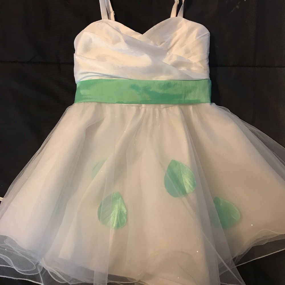 Beautiful Dress